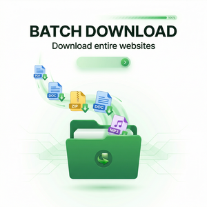 IDM官网 - IDM Streamlabs集成