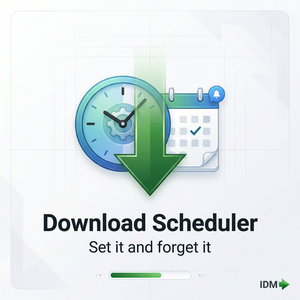 IDM官网 - IDM丢包修复